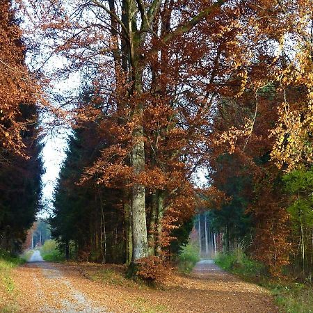 Fuchsenlohe Otel Schlier Dış mekan fotoğraf