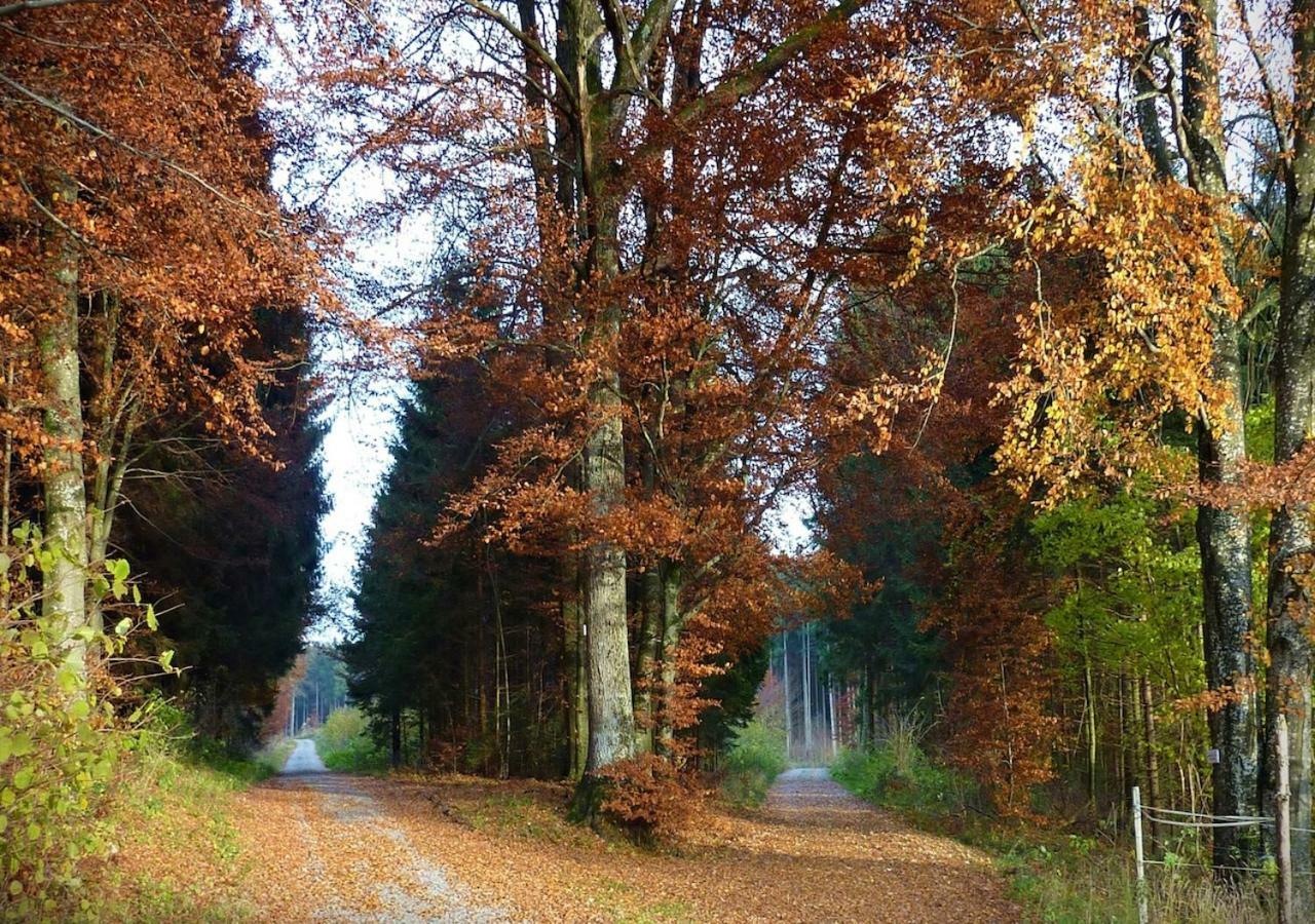 Fuchsenlohe Otel Schlier Dış mekan fotoğraf